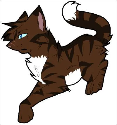 Qui est Plume de Faucon pour Étoile du Tigre ?