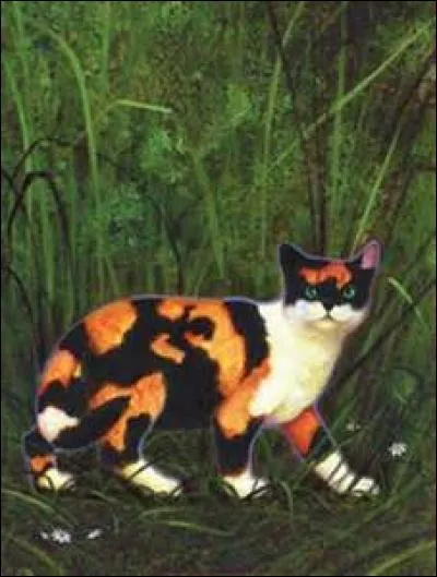 Qui est Pelage d'Or pour Étoile du Tigre ?