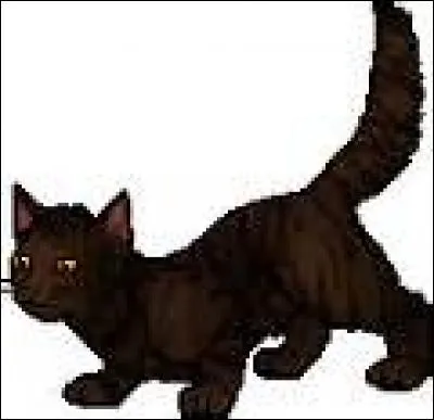 Qui est Cur de Tigre pour Étoile du Tigre ?