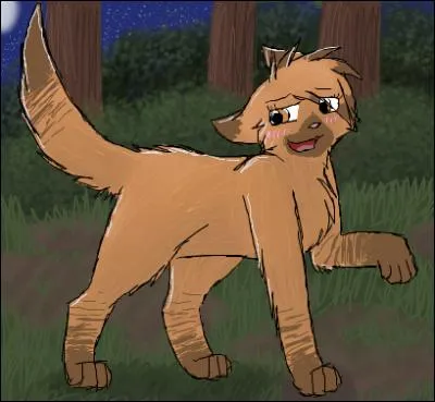 Qui est Sacha pour Étoile du Tigre ?