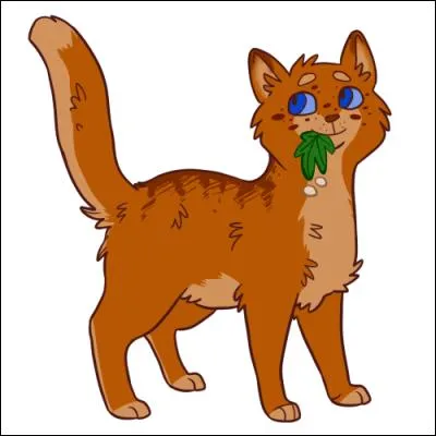 Qui est Plume de Flamme pour Étoile du Tigre ?