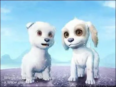 Comment les deux chiots s'appellent-ils ?