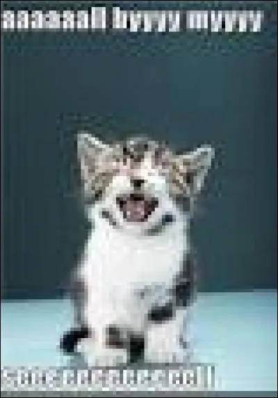 Eric Carmen, All by Myself : "Aaaall byyy myyyseeeelf..."