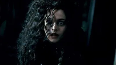 Comment Bellatrix Lestrange a-t-elle assassiné Dobby ?