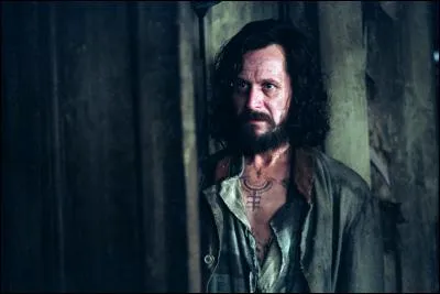 Qui est Sirius Black ?