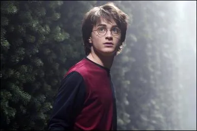 Quelles créatures Harry croise-t-il dans la troisième épreuve de la coupe des trois sorciers ?