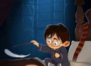 Quiz Dtails du monde de Harry Potter