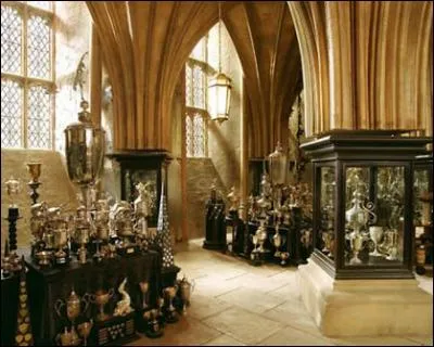 Quelle est la particularité de Cuthbert Binns, professeur d'histoire de la magie de Poudlard à la voix soporifique ?