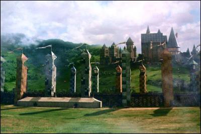 Quelle maison de Poudlard remporte la coupe de Quidditch des quatre maisons lors de la première année de Harry ?