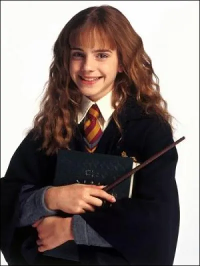 De quel bois est faite la baguette magique d'Hermione Granger ?