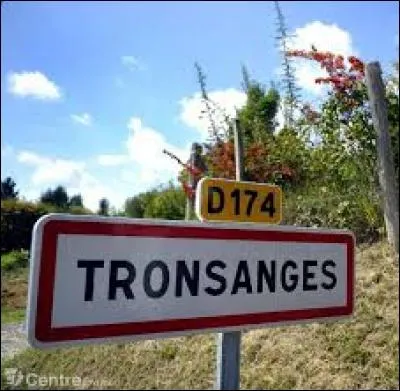 Notre balade s'arrête à Tronsanges. Commune de Bourgogne, elle se situe dans le département ...