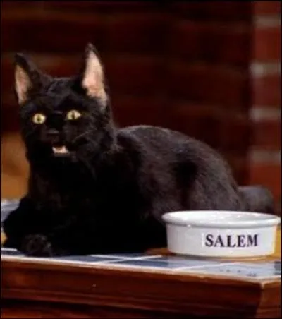 Quelle est la particularité de Salem, le chat de Sabrina ?