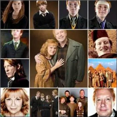 Quel est le lien entre les Weasley et les Black ?