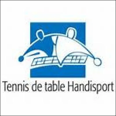 Lors des compétitions handisport, comment se déplacent les joueurs ?