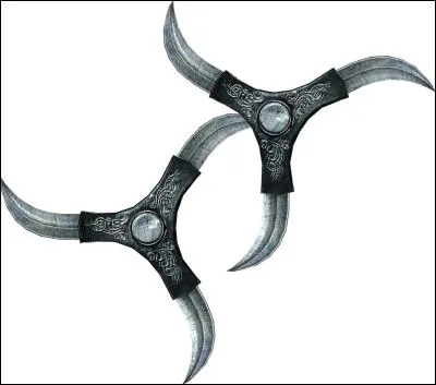 Comment s'appelle les Shurikens ?