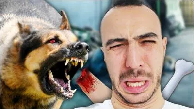 Quel est le titre de sa dernière chanson ?