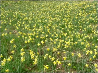Dans quel département a eu lieu cette petite escapade ?