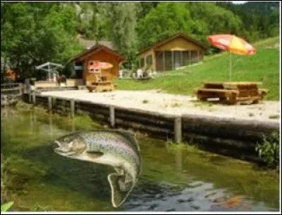 Puis il faut penser au repas de midi donc un détour vers … mais que c'est bon du producteur au consommateur. S'agit-il de la photo 1 ou 2 ?