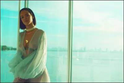 A-t-elle chanté "Needed Me"?