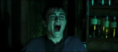 Pourquoi le professeur Rogue a-t-il mis fin au cours d'occlumancie de Harry ?