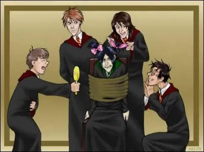 Qui était préfet parmi les Maraudeurs ?