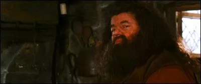 Avec quoi Hagrid peut-il faire de la magie ?