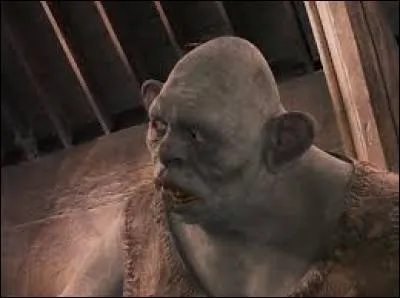 Qui a lib&eacute;r&eacute; le troll dans les cachots ?