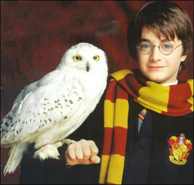 Quel est le nom du réalisateur de "Harry Potter à l'école des sorciers" ?