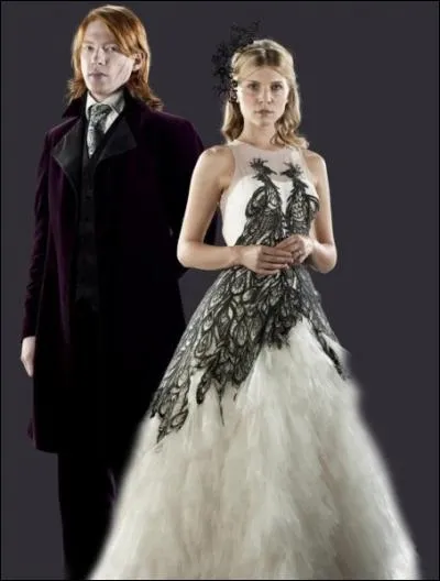 Au mariage de Bill et de Fleur, où transplanent Hermione, Ron et Harry ? (Harry Potter et les Reliques de la mort)
