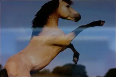 Quelle est cette robe ?