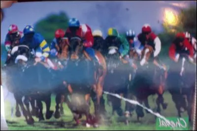 Que signifie : "para-équestre" ?