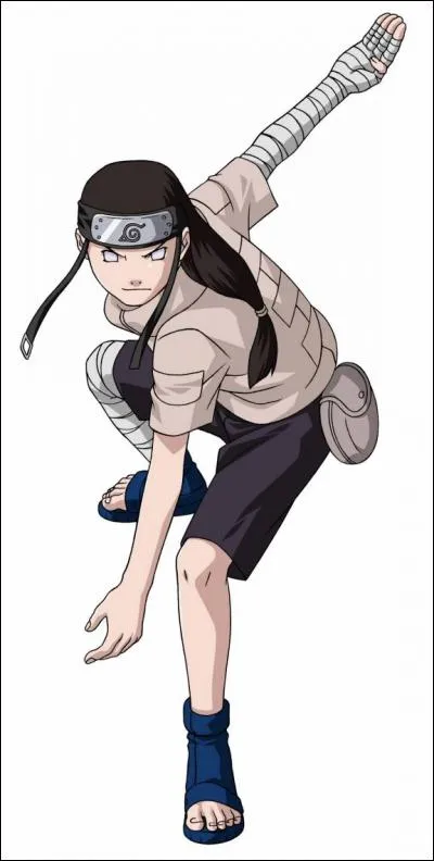 Neji fait partie de quelle branche, dans la famille Hyûga ?