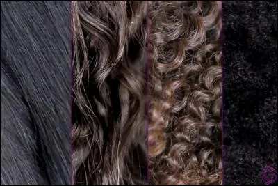 Texture : un follicule rond, allongé et perpendiculaire à la surface de la peau va former un cheveu ...