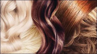 Un follicule de coupe ovale et légèrement tordu en forme de virgule va produire un cheveu...