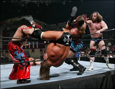 Qui a remporté le Royal Rumble 2006 ?
