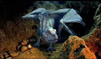 Comment s'appelle le dragon blanc avec Morgane ?