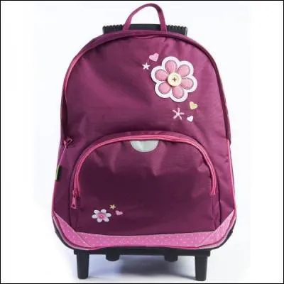 Qu'est-ce que c'est ?