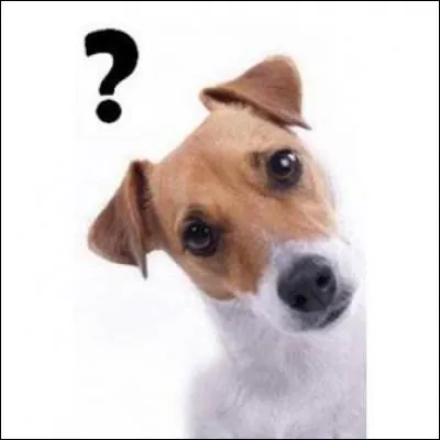 Comment s'appelle leur chien ?