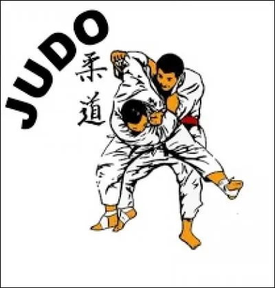 "J" comme "judo". Quelle est la traduction littérale du nom de cet art martial né au Japon ?