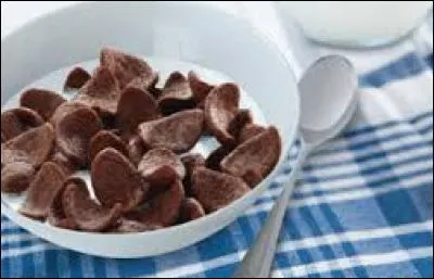 Comment s'appellent ces céréales ?