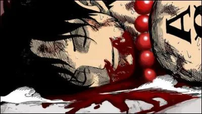 (Attention spoil) Qui tue Ace ?