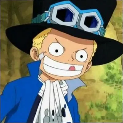 Comment s'appelle le dernier frère de Luffy et Ace ?