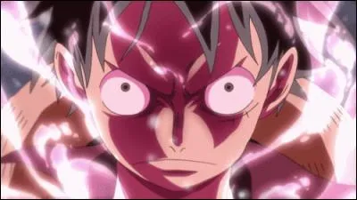 Qui enseigne le fluide à Luffy pendant 2 ans ?