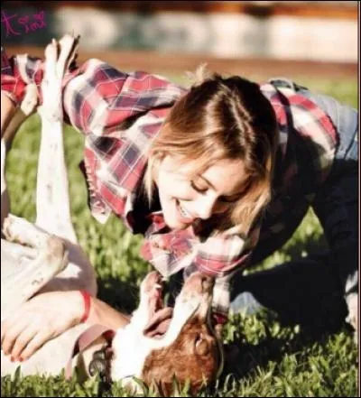 Combien de chiens Tini possède-t-elle ?