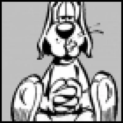 Quel animal représente la photo d'Alskyd ?