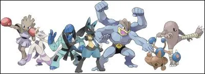 Laquelle de ces Attaques n'est PAS de type Combat ?