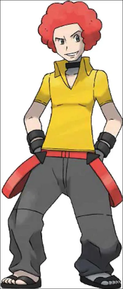 Dans la ligue de Diamant/Perle/Platine, quel Pokémon n'a jamais possédé Adrien, 3eme membre du Conseil 4 ?