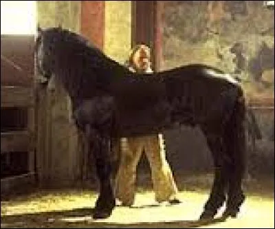 Comment s'appelle le cheval de Zorro ?