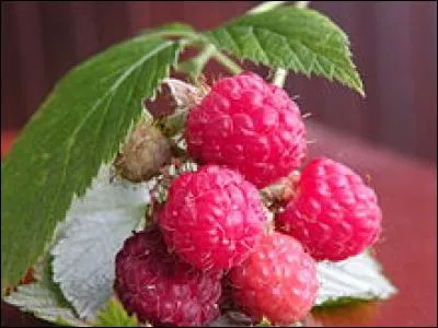 Comment dit-on "Framboise" en anglais ?