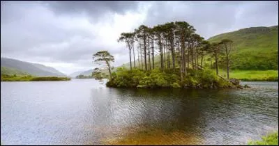 Où Harry demande-t-il la main de Ginny?